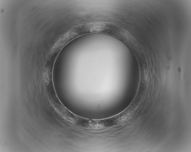 X0000054370311200507291053