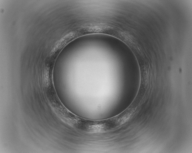 X0000054370312200507291053