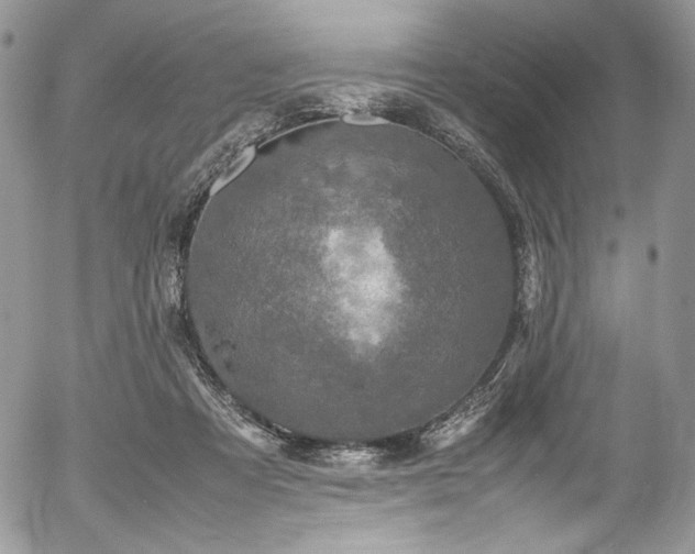 X0000054370313200507291053