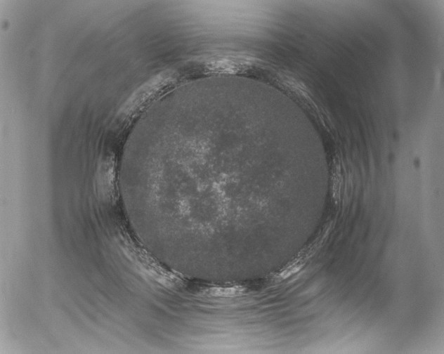 X0000054370314200507291053