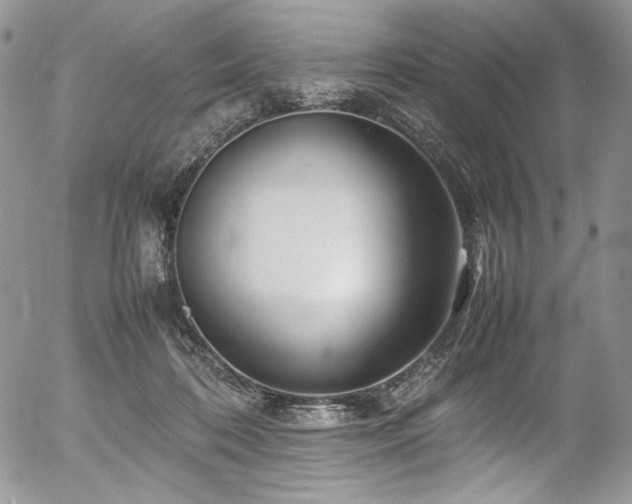 X0000054370316200507291053