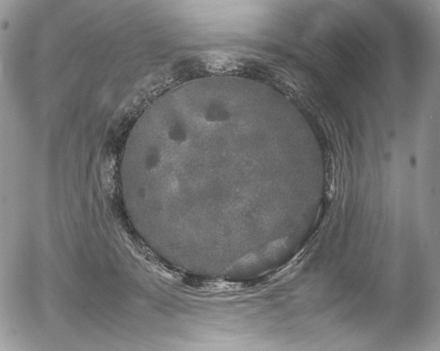 X0000054370319200507291053