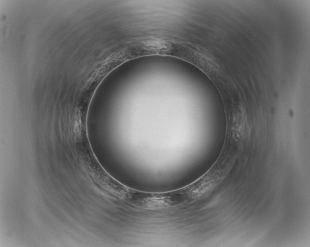 X0000054370320200507291053