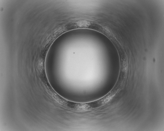 X0000054370321200507291053