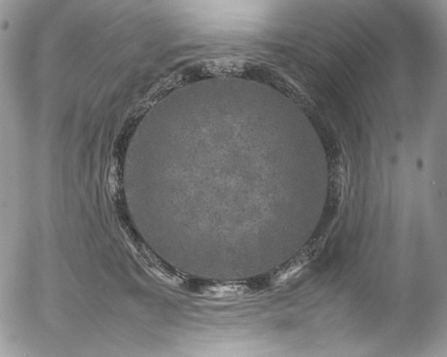 X0000054370323200507291053