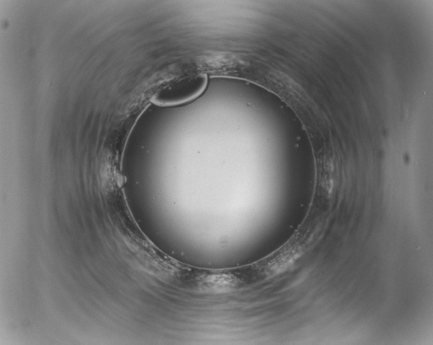 X0000054370324200507291053