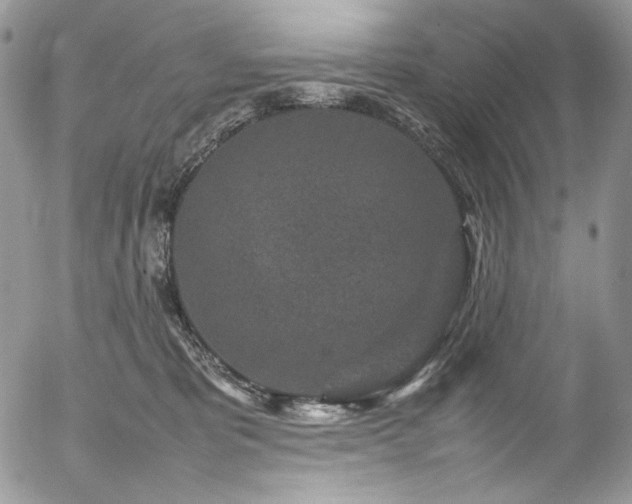 X0000054370325200507291053