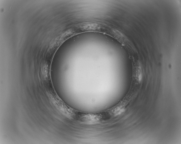 X0000054370326200507291053