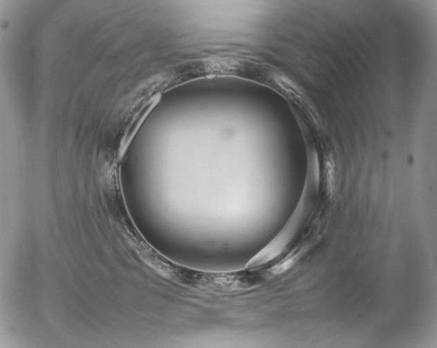 X0000054370329200507291053