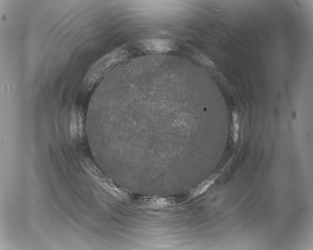 X0000054370330200507291053