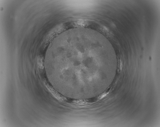 X0000054370331200507291053