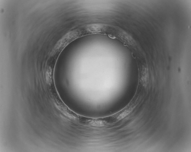 X0000054370332200507291053