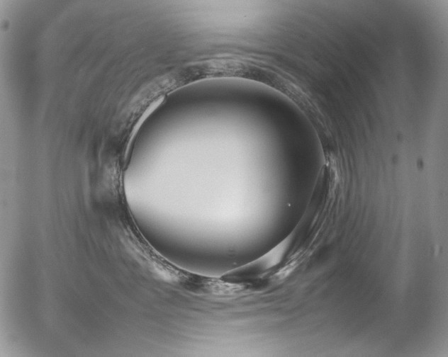 X0000054370333200507291053