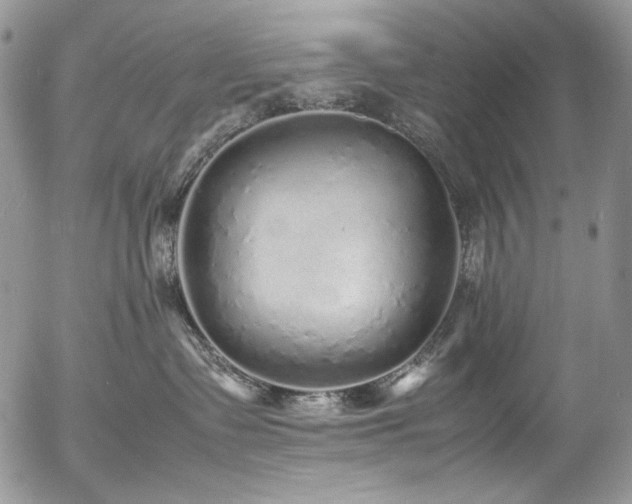 X0000054370335200507291053