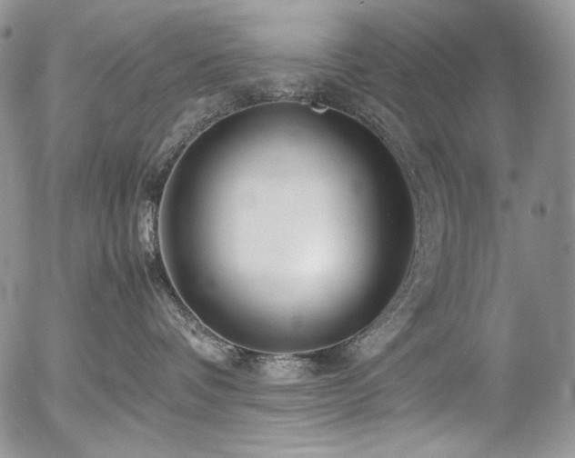 X0000054370336200507291053