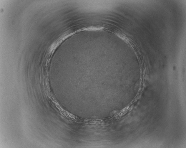 X0000054370337200507291052