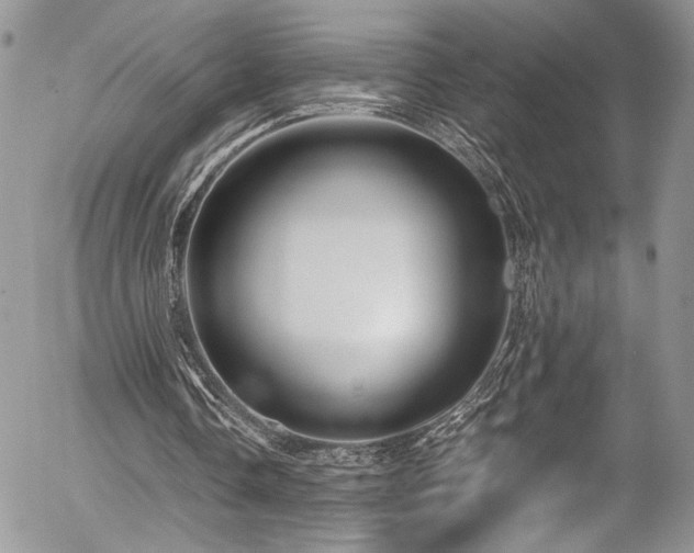 X0000054370338200507291052