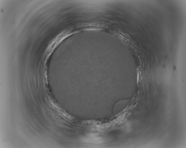 X0000054370339200507291052