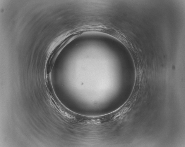 X0000054370340200507291052