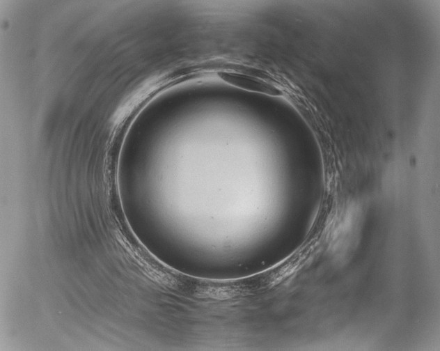 X0000054370341200507291052