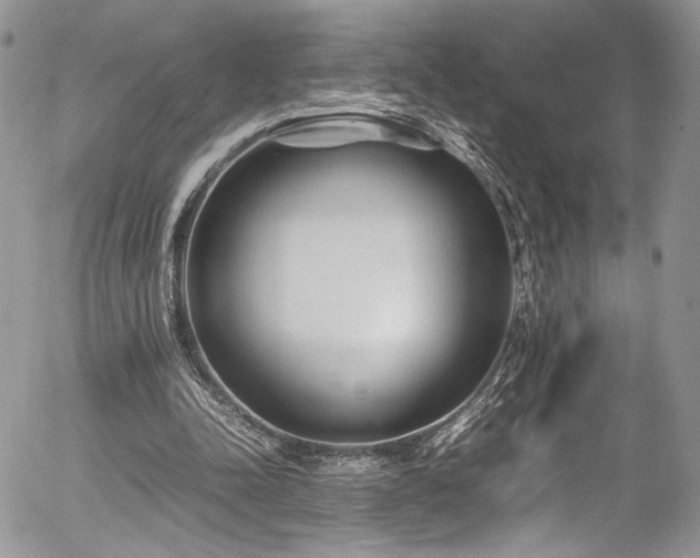 X0000054370342200507291052