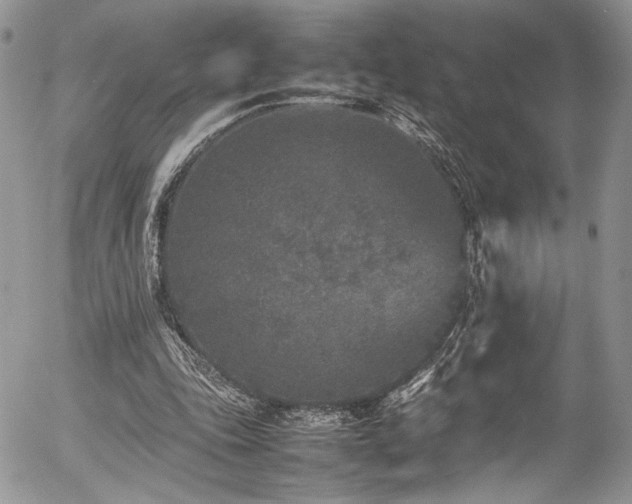 X0000054370343200507291052