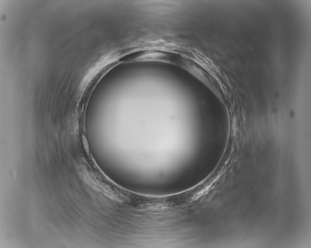 X0000054370344200507291052