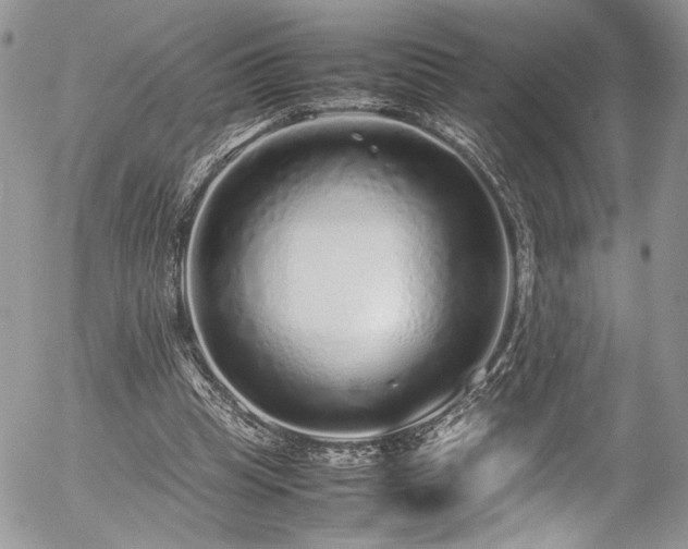 X0000054370345200507291052