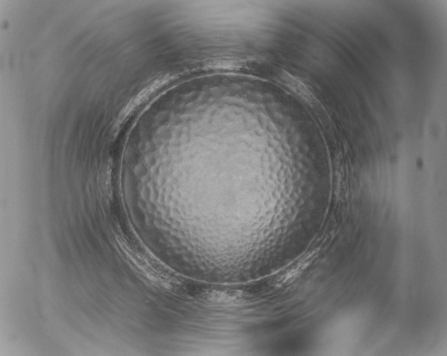 X0000054370346200507291052