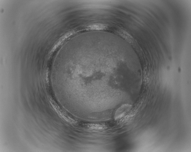 X0000054370347200507291052