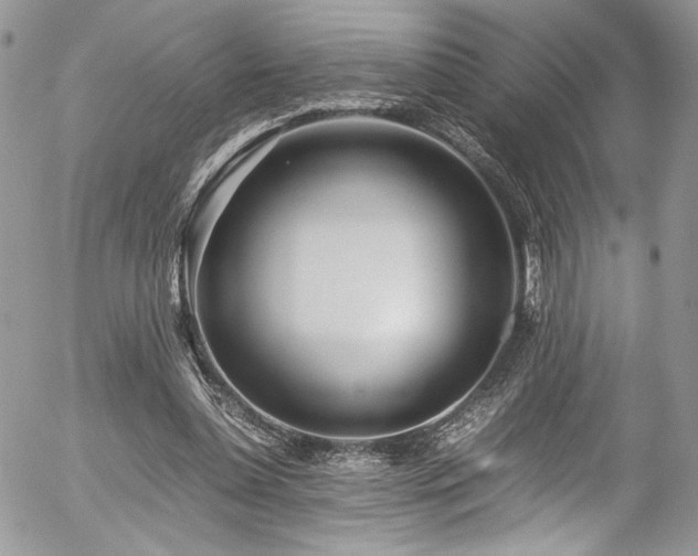 X0000054370348200507291052