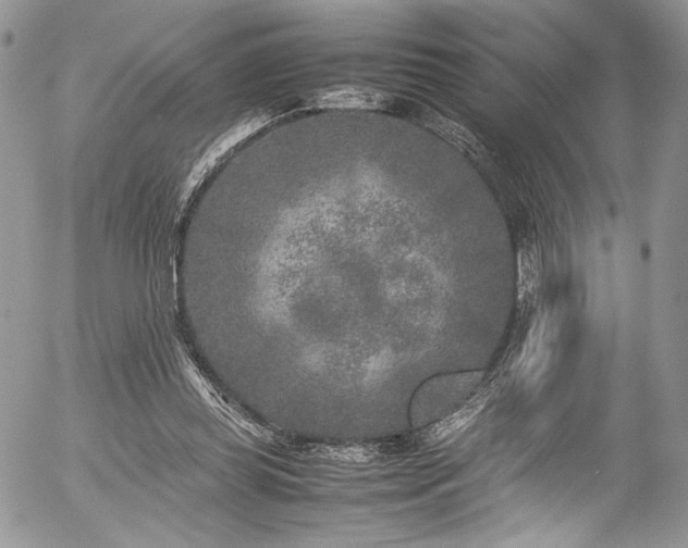 X0000054370349200507291052