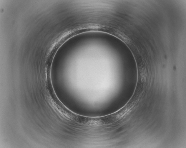 X0000054370350200507291052