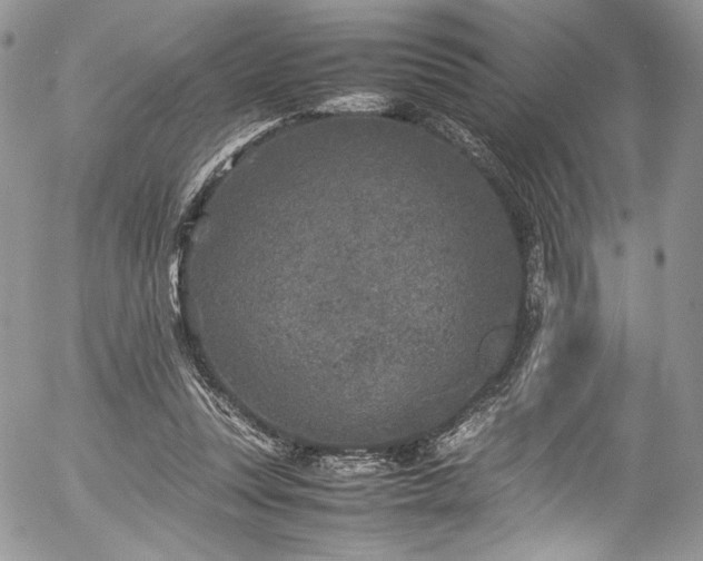 X0000054370351200507291052