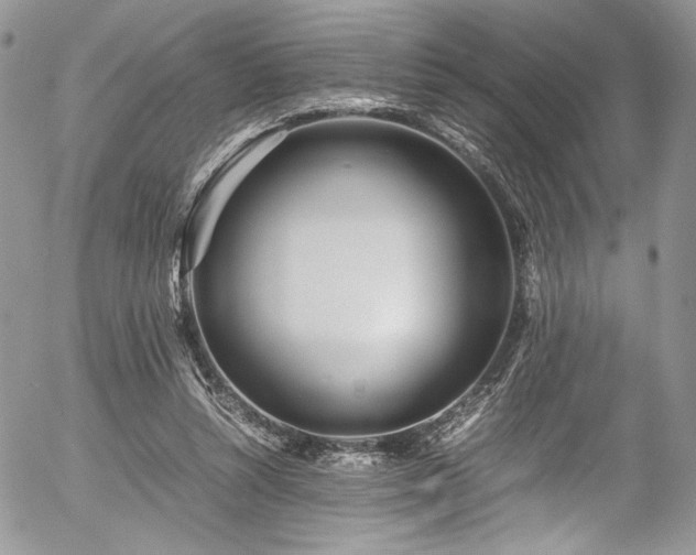 X0000054370352200507291052