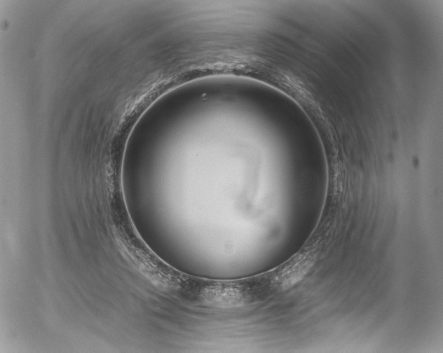 X0000054370354200507291052