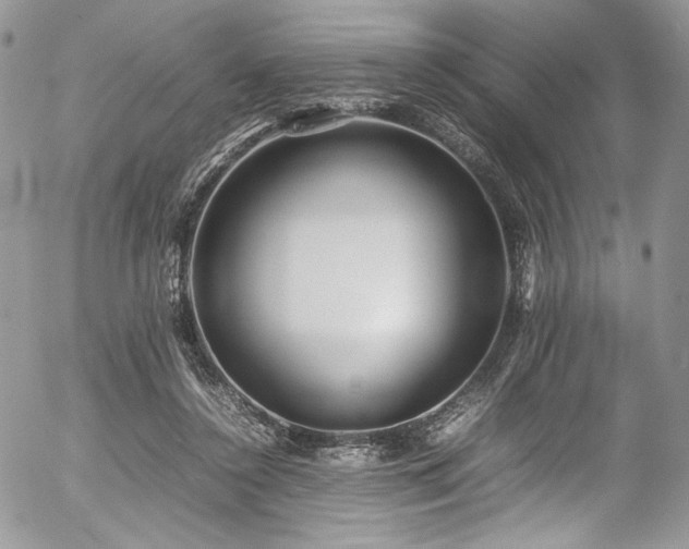 X0000054370356200507291052