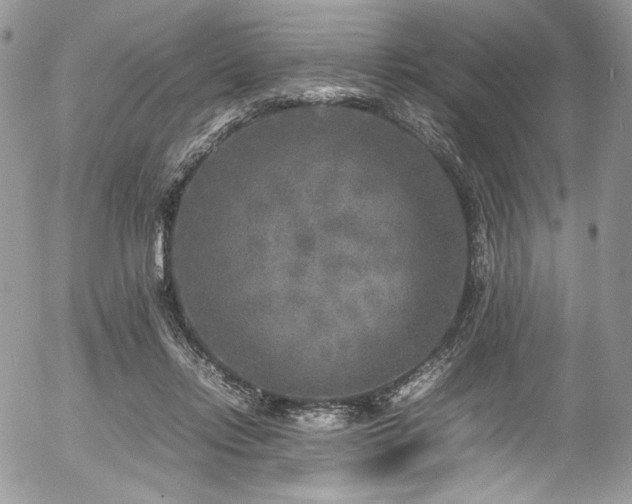 X0000054370358200507291052