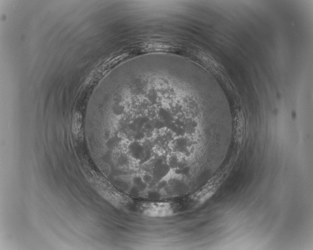 X0000054370361200507291053