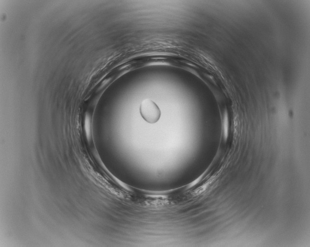 X0000054370362200507291053