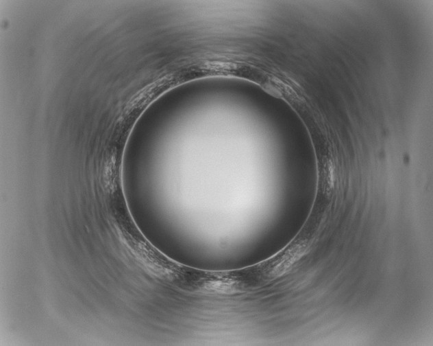 X0000054370364200507291053