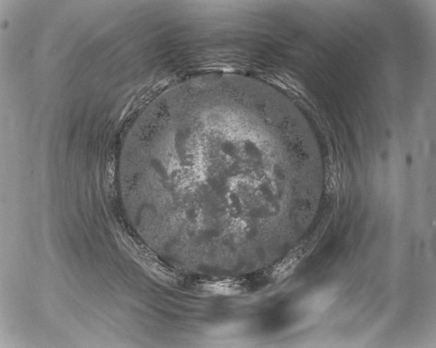 X0000054370365200507291053