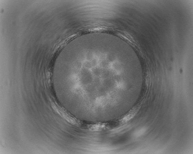 X0000054370366200507291053