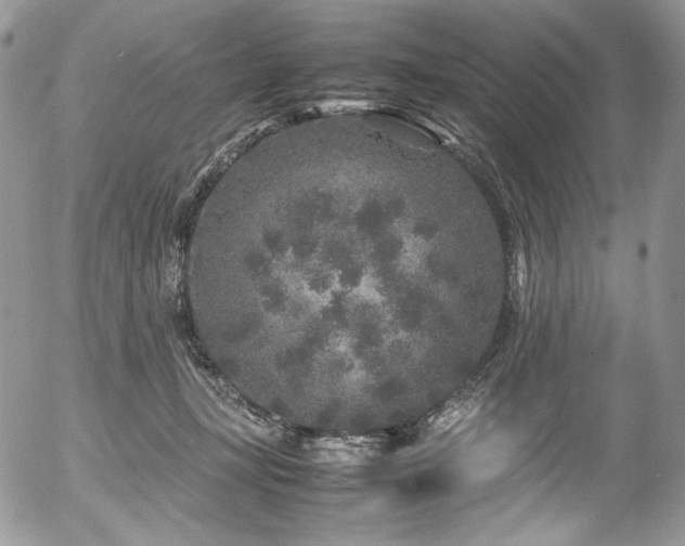 X0000054370367200507291053