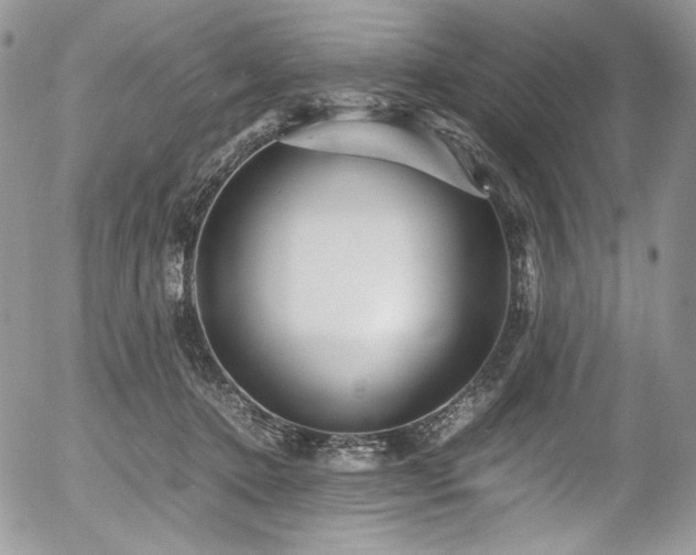 X0000054370368200507291053