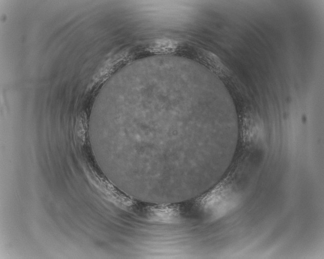 X0000054370370200507291053