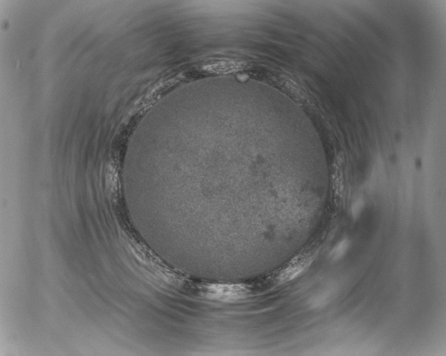 X0000054370371200507291053