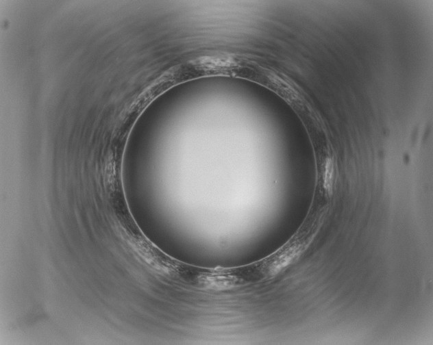 X0000054370372200507291053