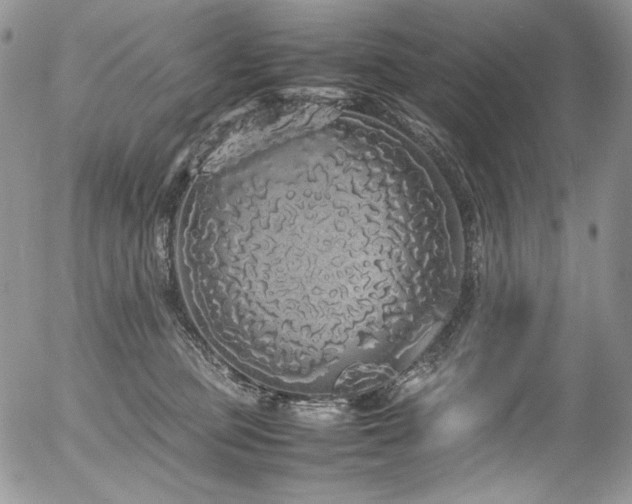 X0000054370373200507291053