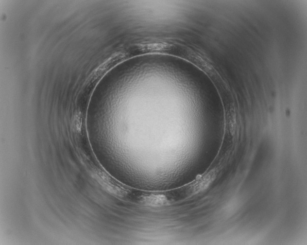 X0000054370374200507291053